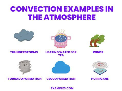 15 Examples of Convection Uncovered