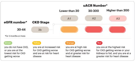 3B Kidney Disease