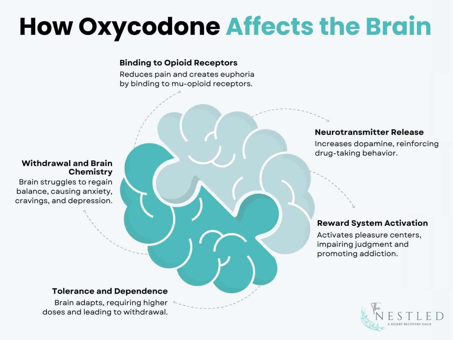 The After Effects Of Oxycodone: What Happens Next After Use?