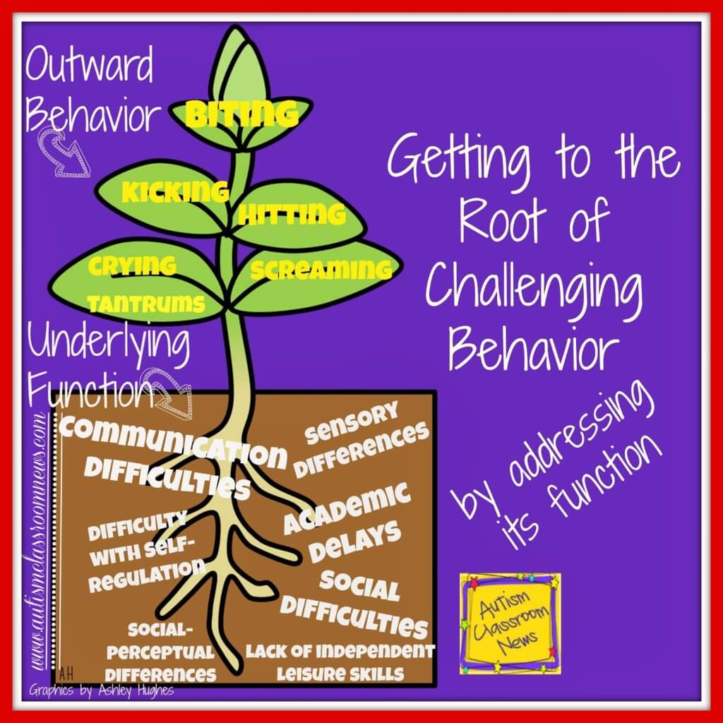 Aggressive Behavior Psychology: Root Causes And Triggers