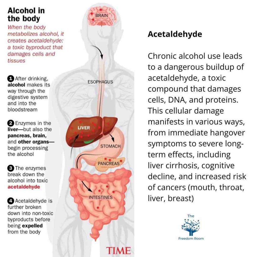 Alcohol In Antibiotics