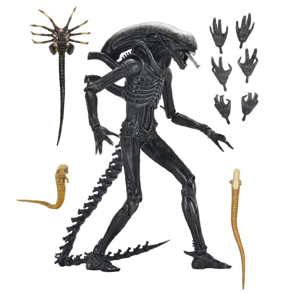 Alien Tattoo Set Ufo Flying Saucer Alien Tattoo Set Ufo Flying Saucer
