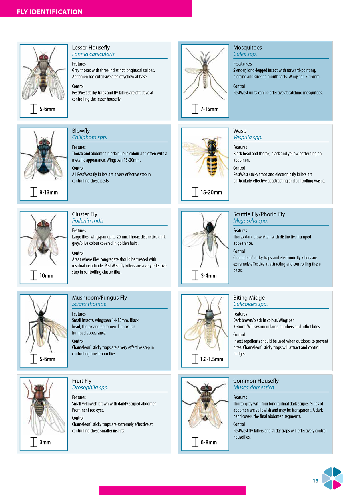 All About Insects: A Pests And Mildews Guide