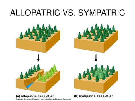 Allopatric vs Sympatric: Unveiling Species Evolution Mysteries