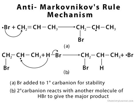 Anti Markovnikov Rule Explained: Surprising Facts in Organic Chemistry