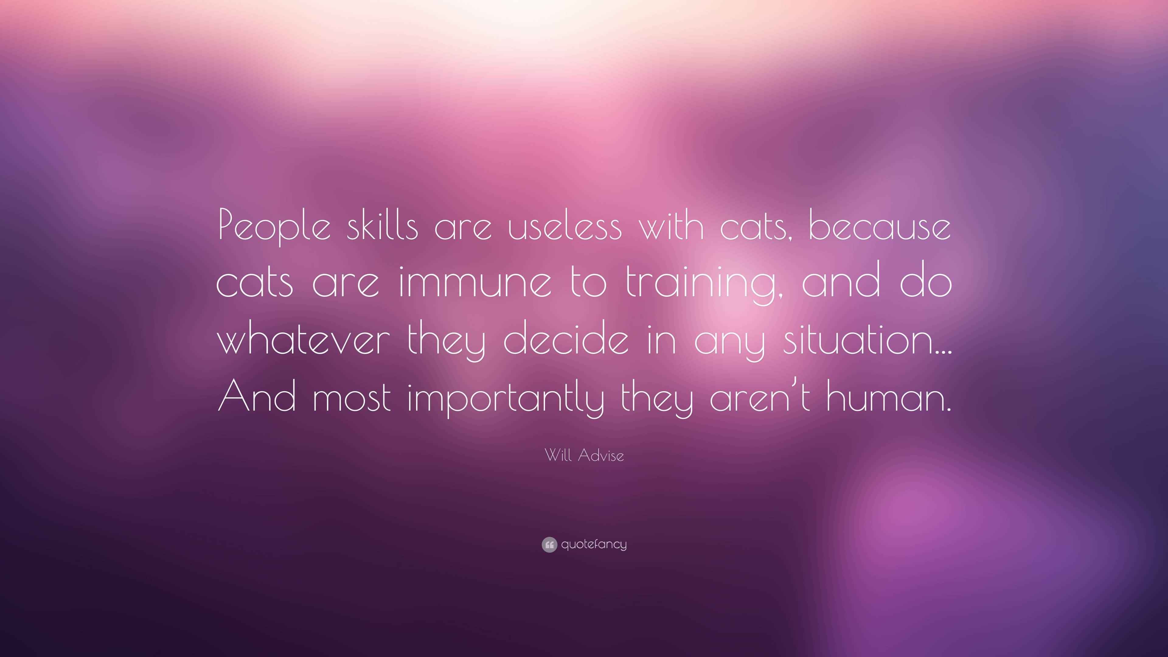 Are Cats Useless? 6 Survival Skills That Prove Them Wrong