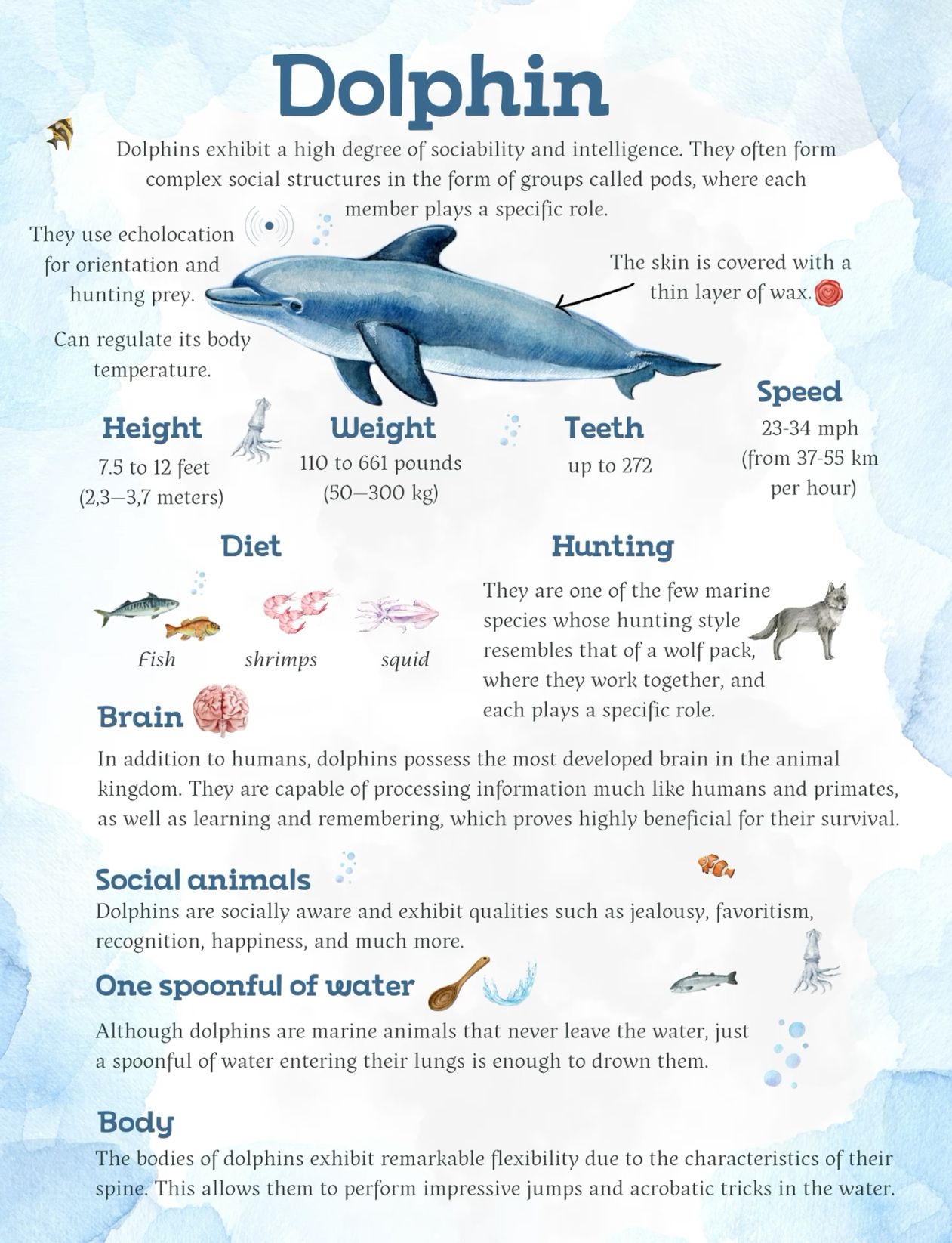Are Dolphins Ungulates Or Mammals: Clear Facts Explained