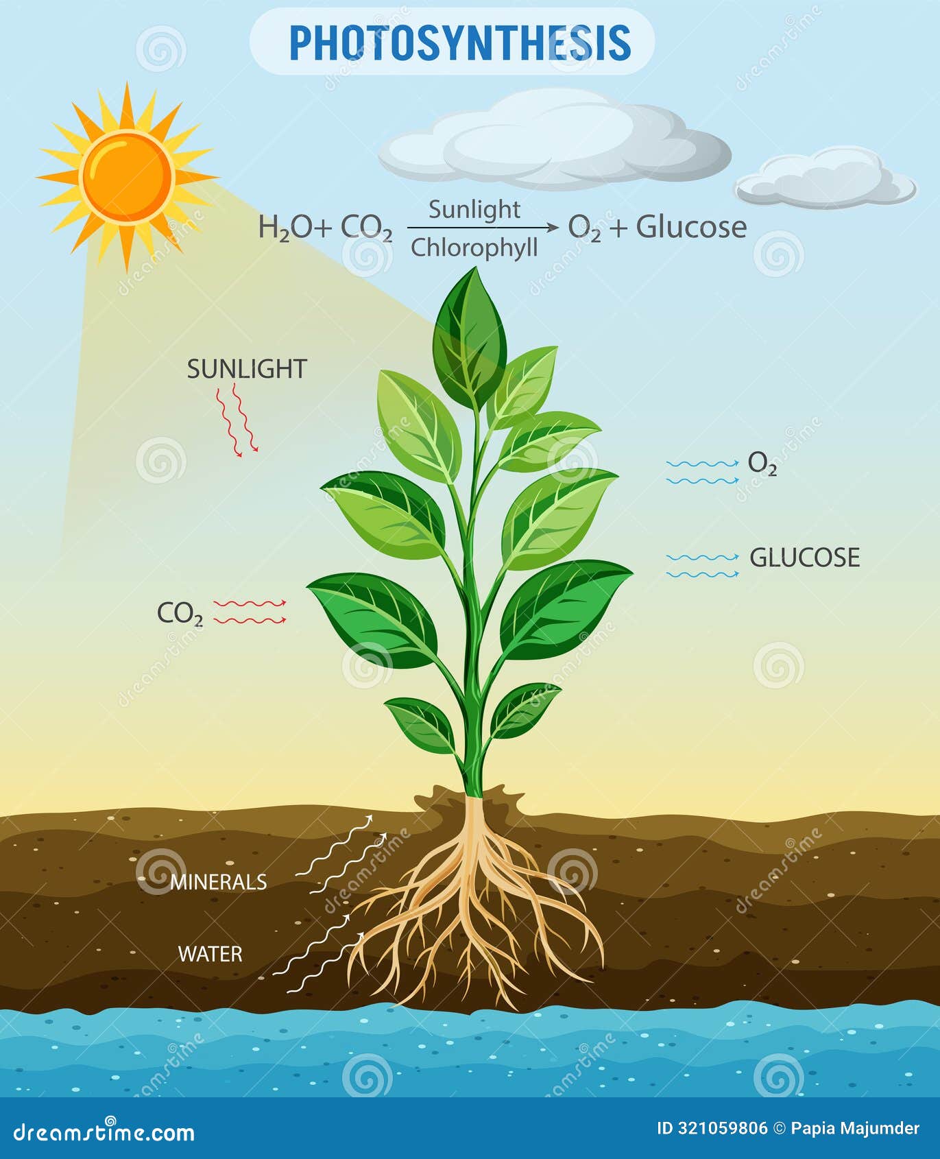 Are Plants Biological: Understanding Life On Earth