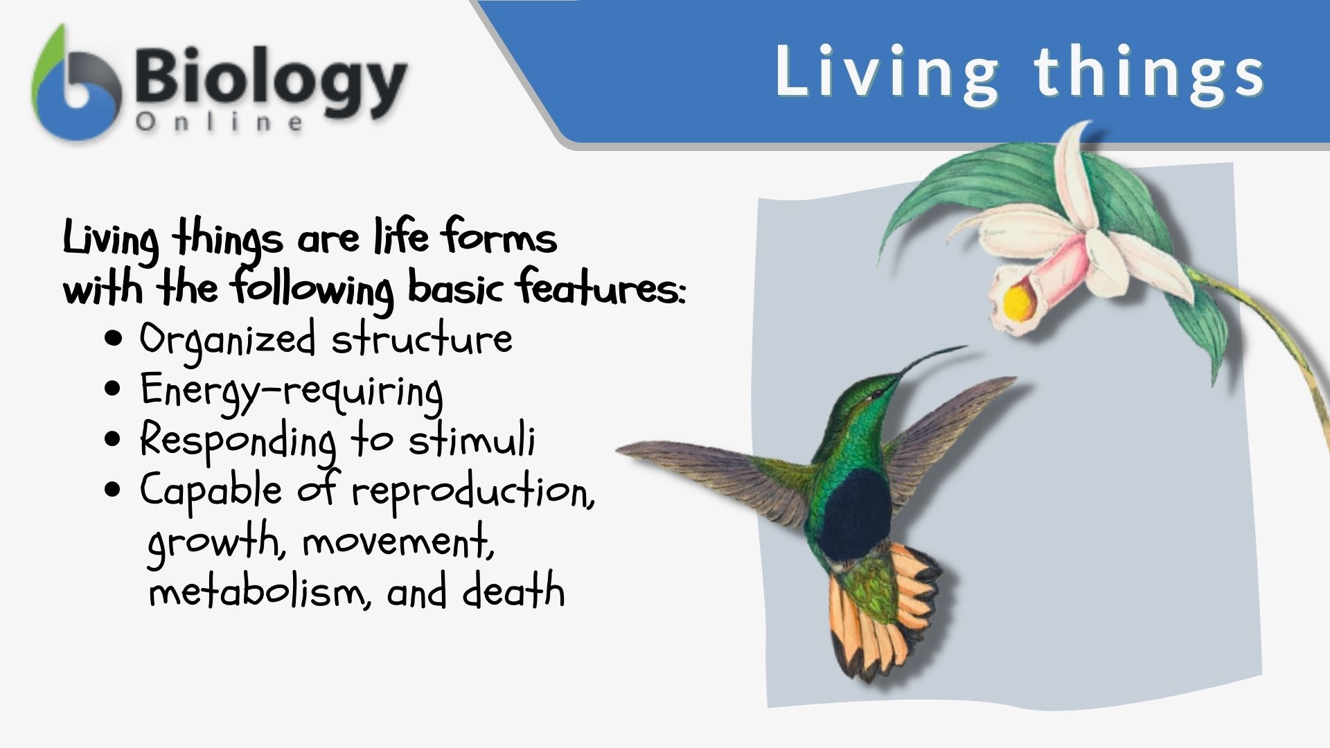 Are Plants Actually Living Things The Science Explained