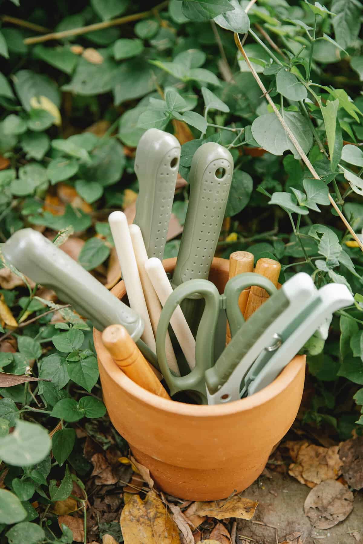 Musthave Basic Gardening Tools For Fresh Starts