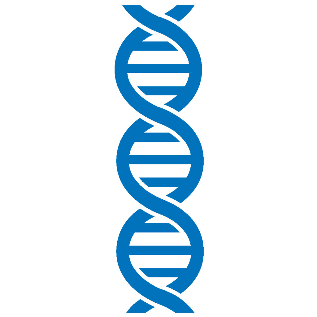 The Basics Of Genetics: A Simple Guide For Beginners