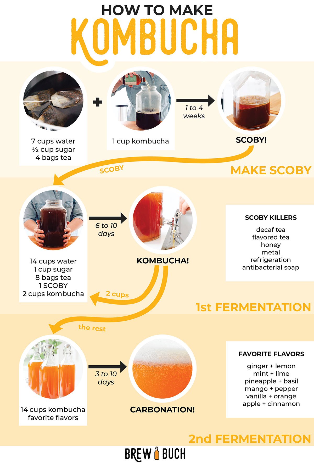 The Basics Of Kombucha For Beginners: A Simple Guide