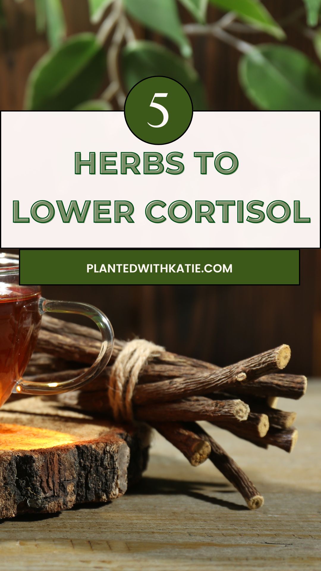 Best Natural Herb For Cortisol To Lower Stress Fast