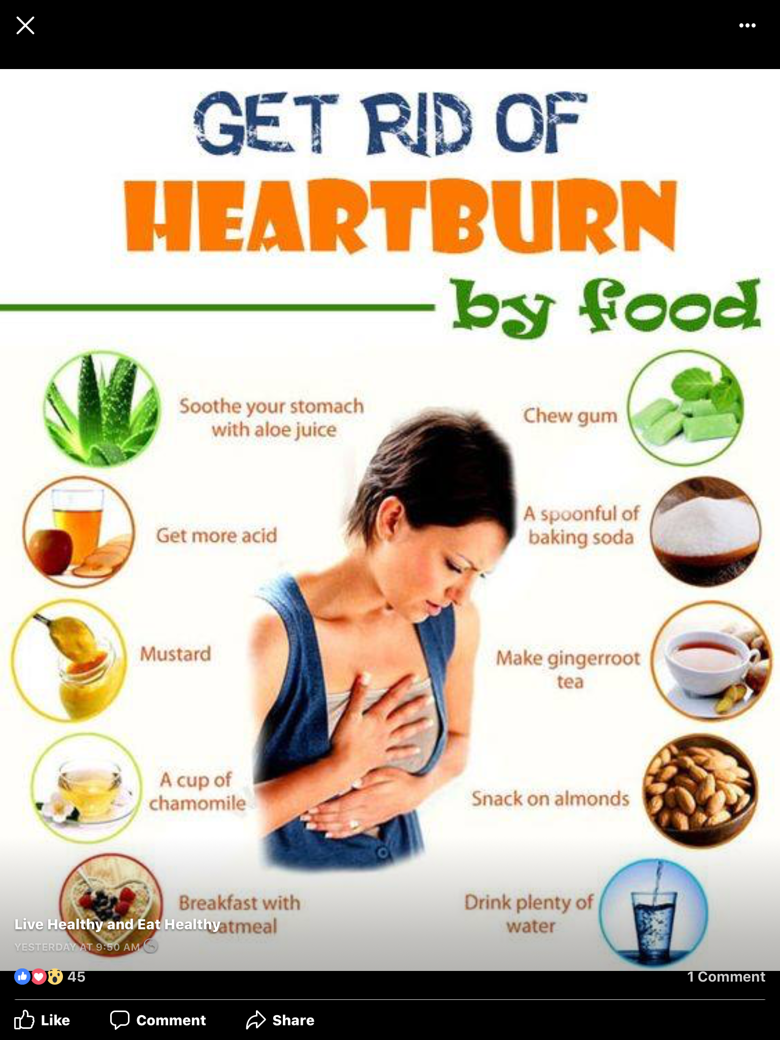 9 Best Herbs To Ease Gerd Relief Fast