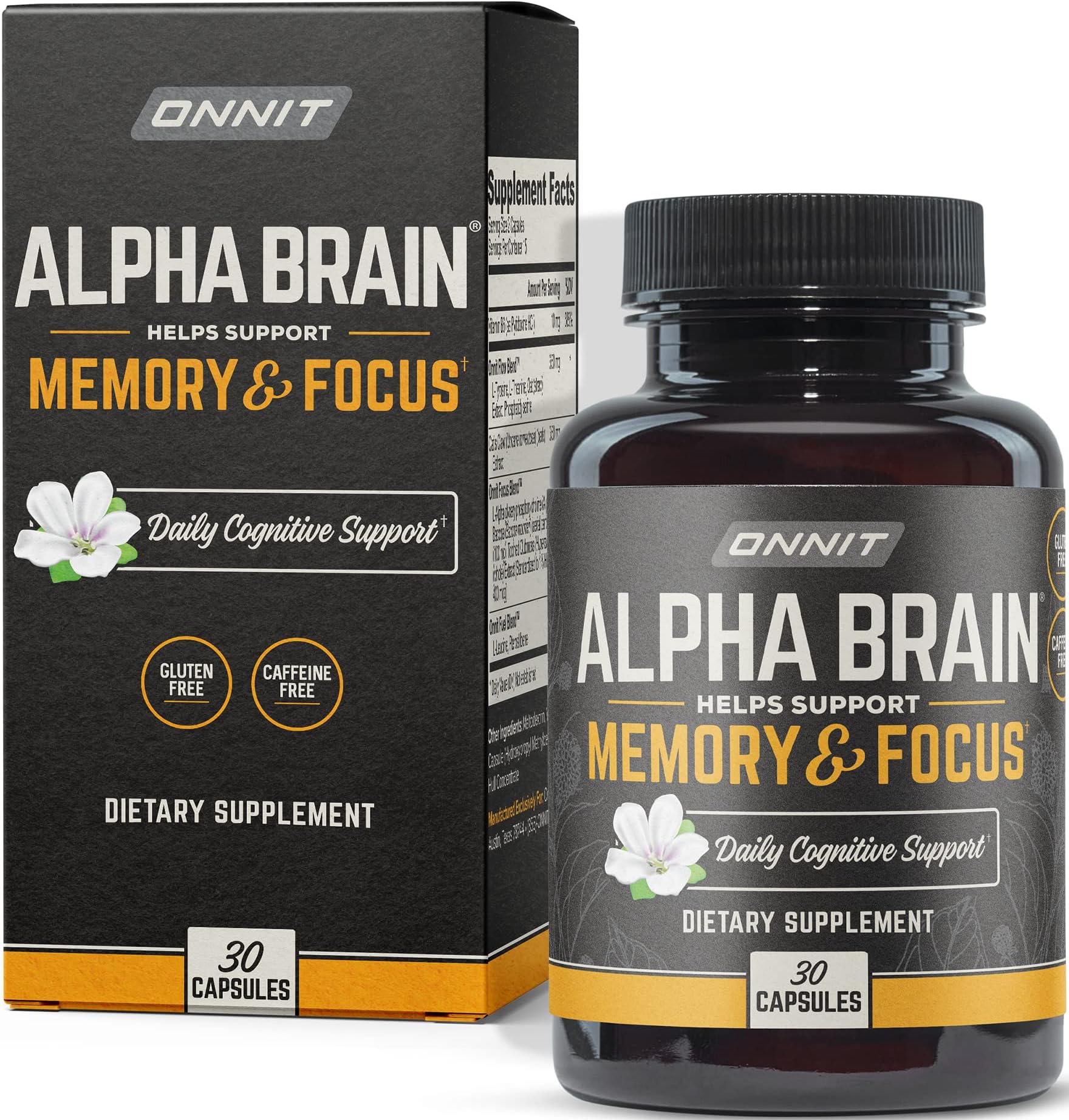 The Best Supplement For Memory And Focus: What Actually Works