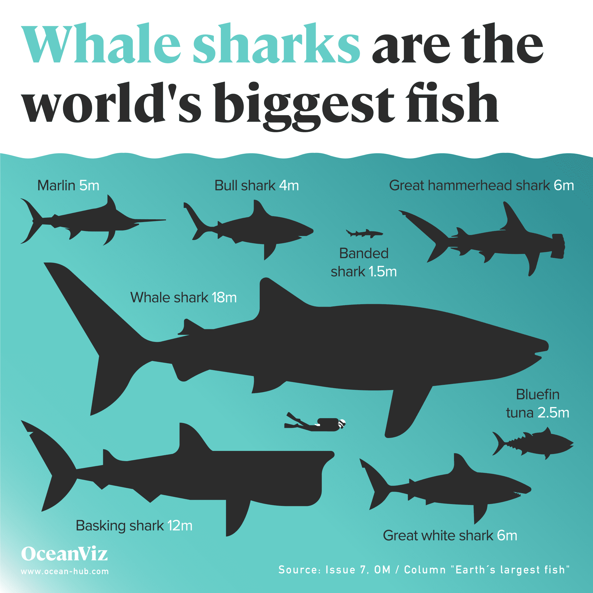 10 Facts: The Biggest Fish In The World Is Extinct