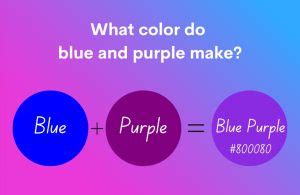 Blue and Purple Combine to Create Stunning Color Combinations