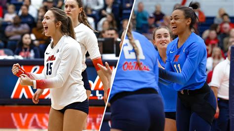 Unveiling Borellis: The Hidden Gem Worth Discovering