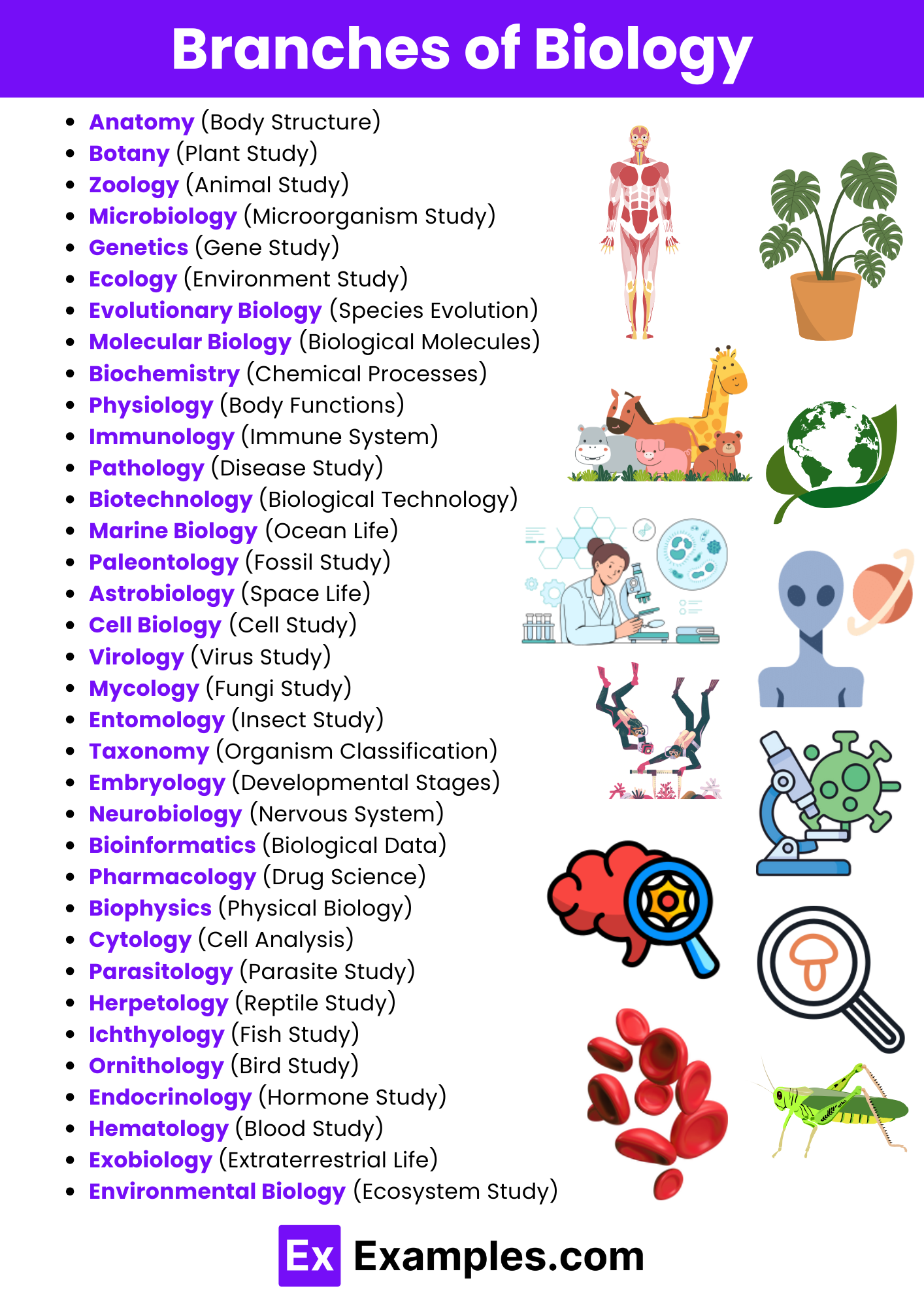 Branches Of Engineering