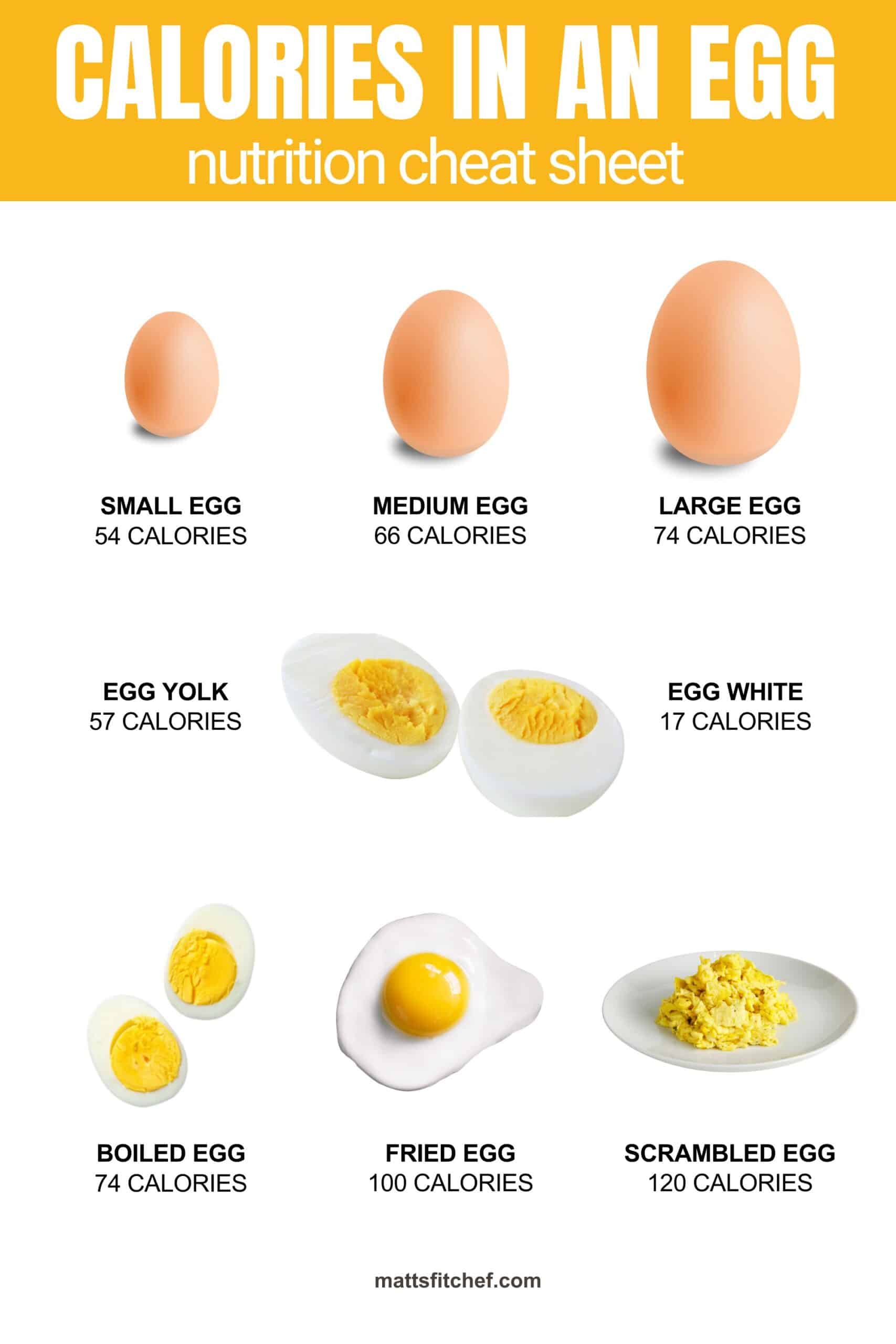 What Are The Calories In A Large Egg And Why It Matters