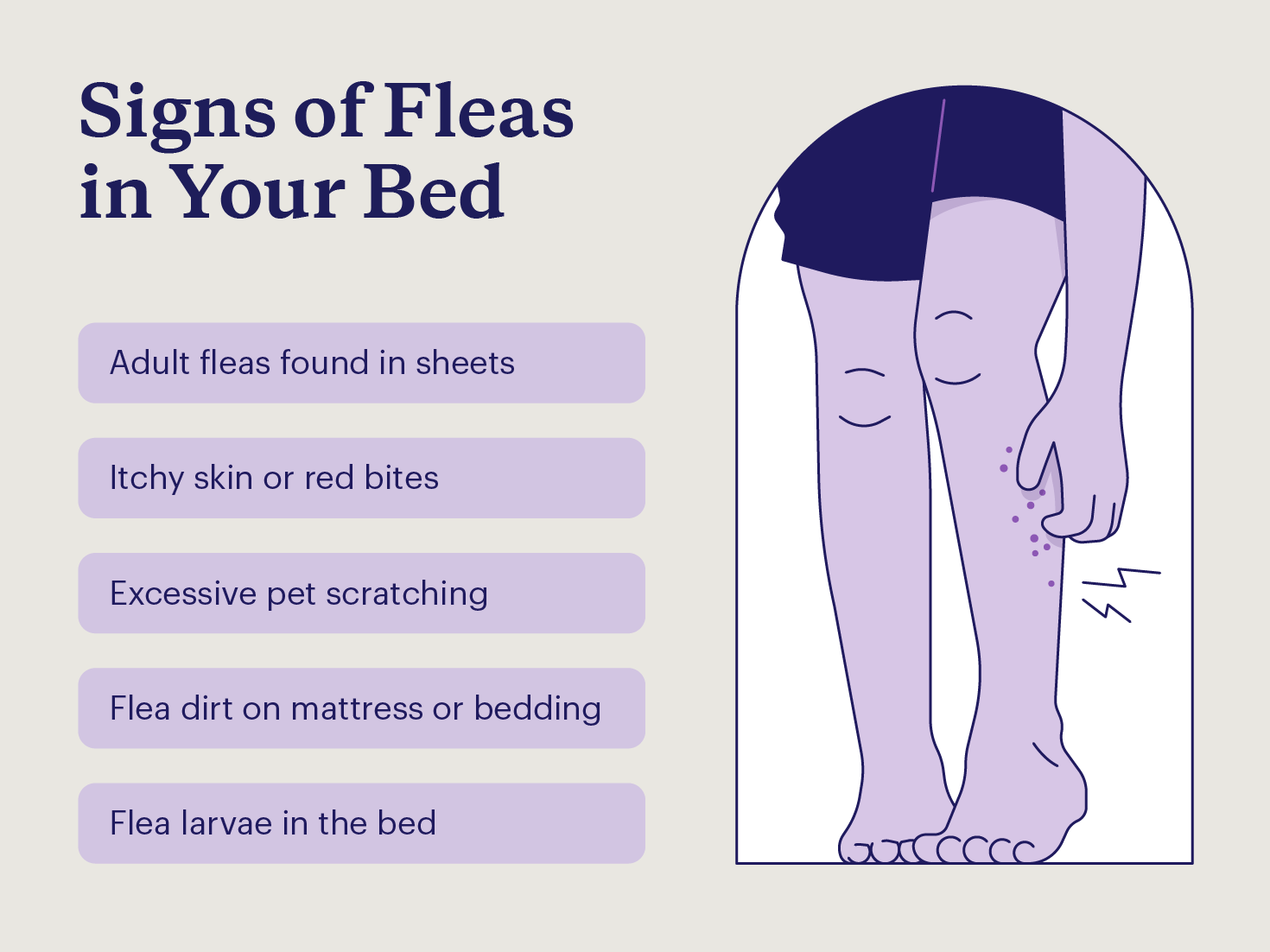Can A Human Have Fleas? Signs And Relief Tips