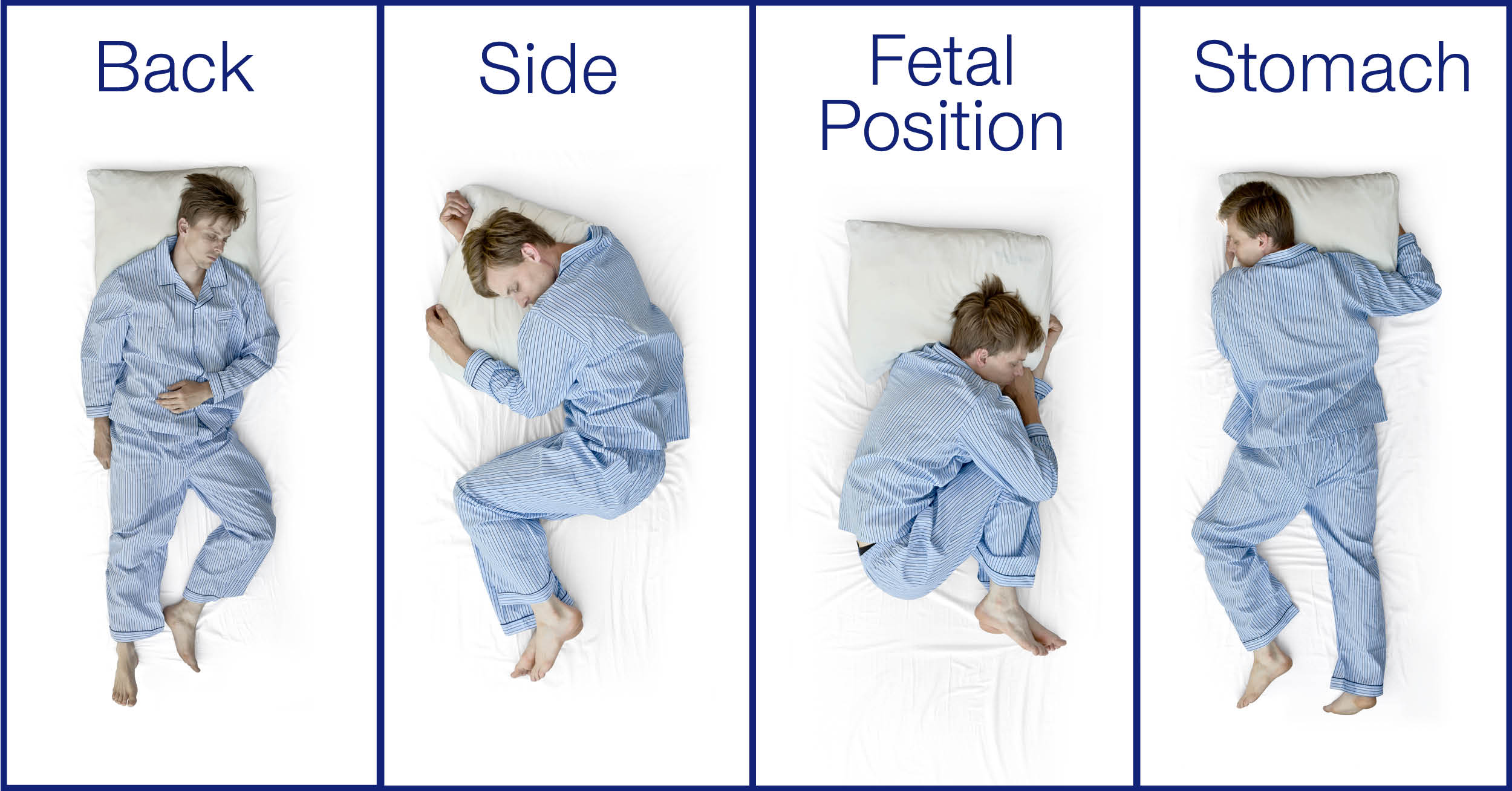 Can A Human Sleep Standing Up Or Is It Impossible