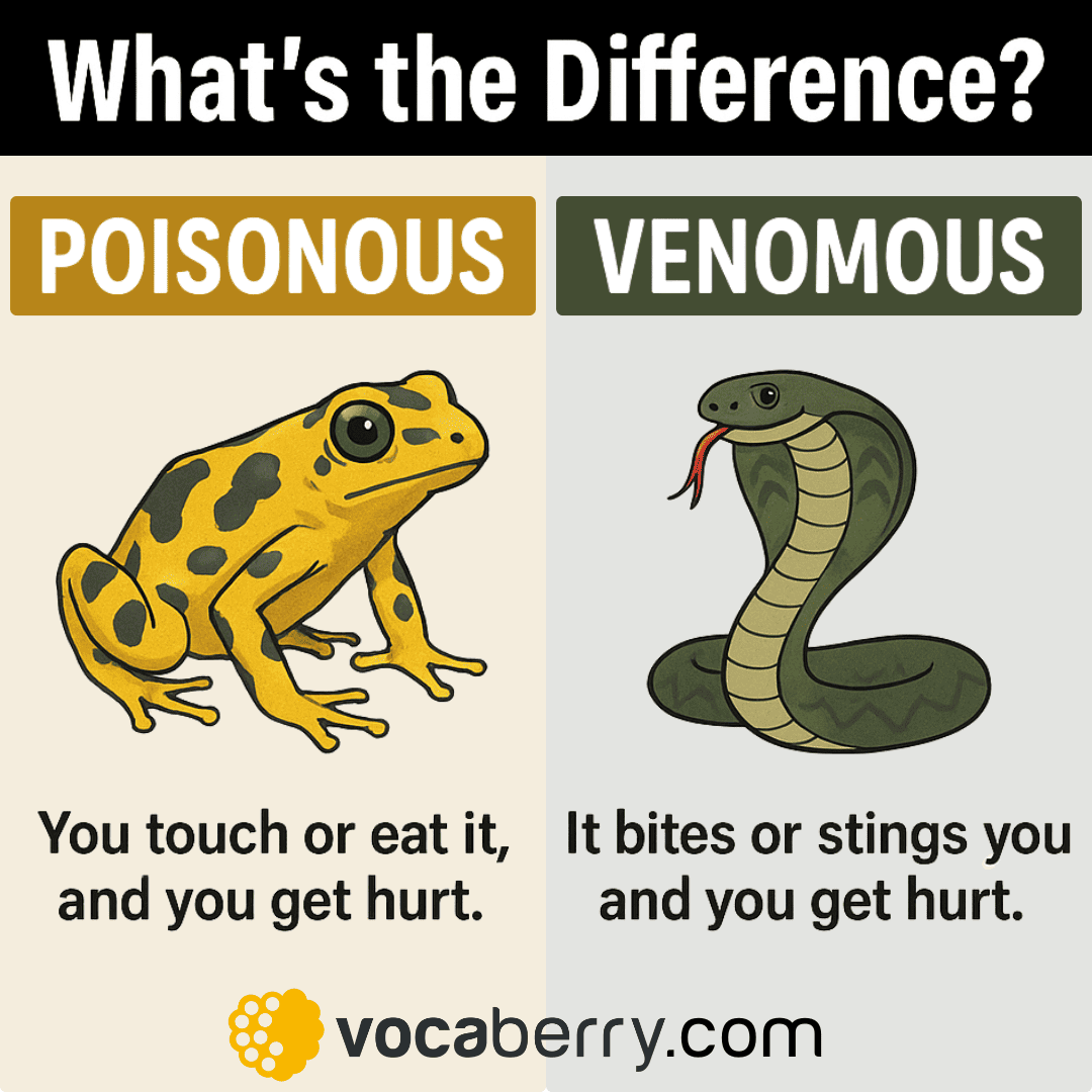 Can Insects Be Venomous Understanding The Difference Between Poison And Venom For Your Safety