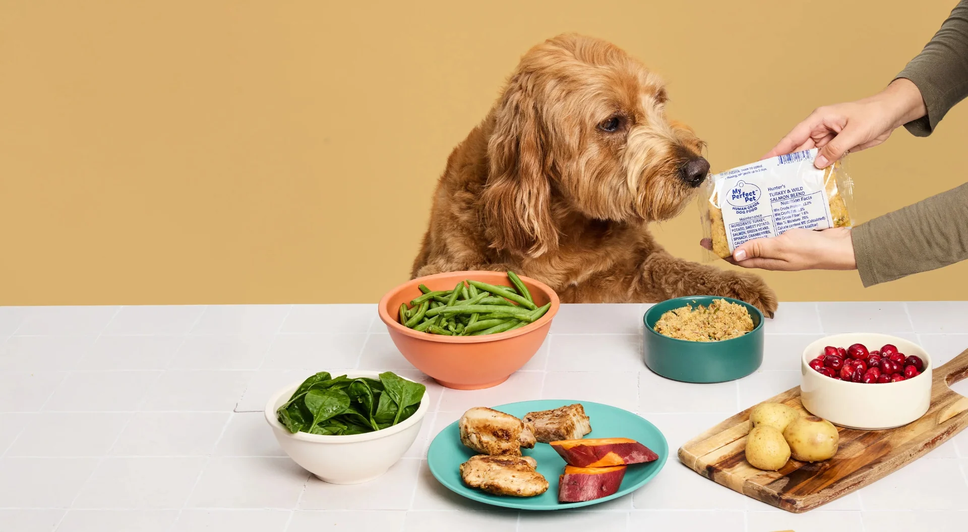 Who Actually Eats Humans And How It Happens