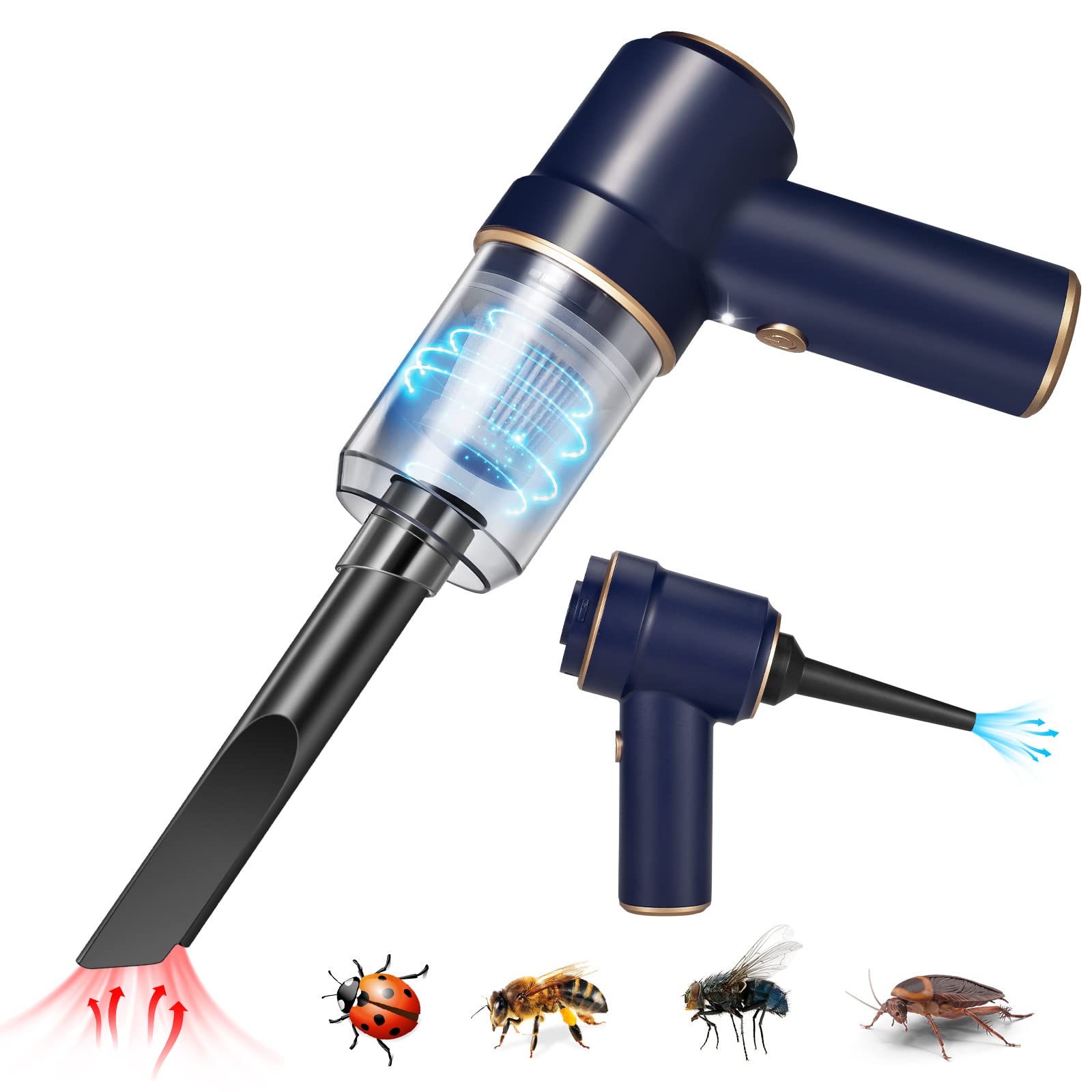 Can Insects Escape A Vacuum: The Science Behind Pressure And Survival
