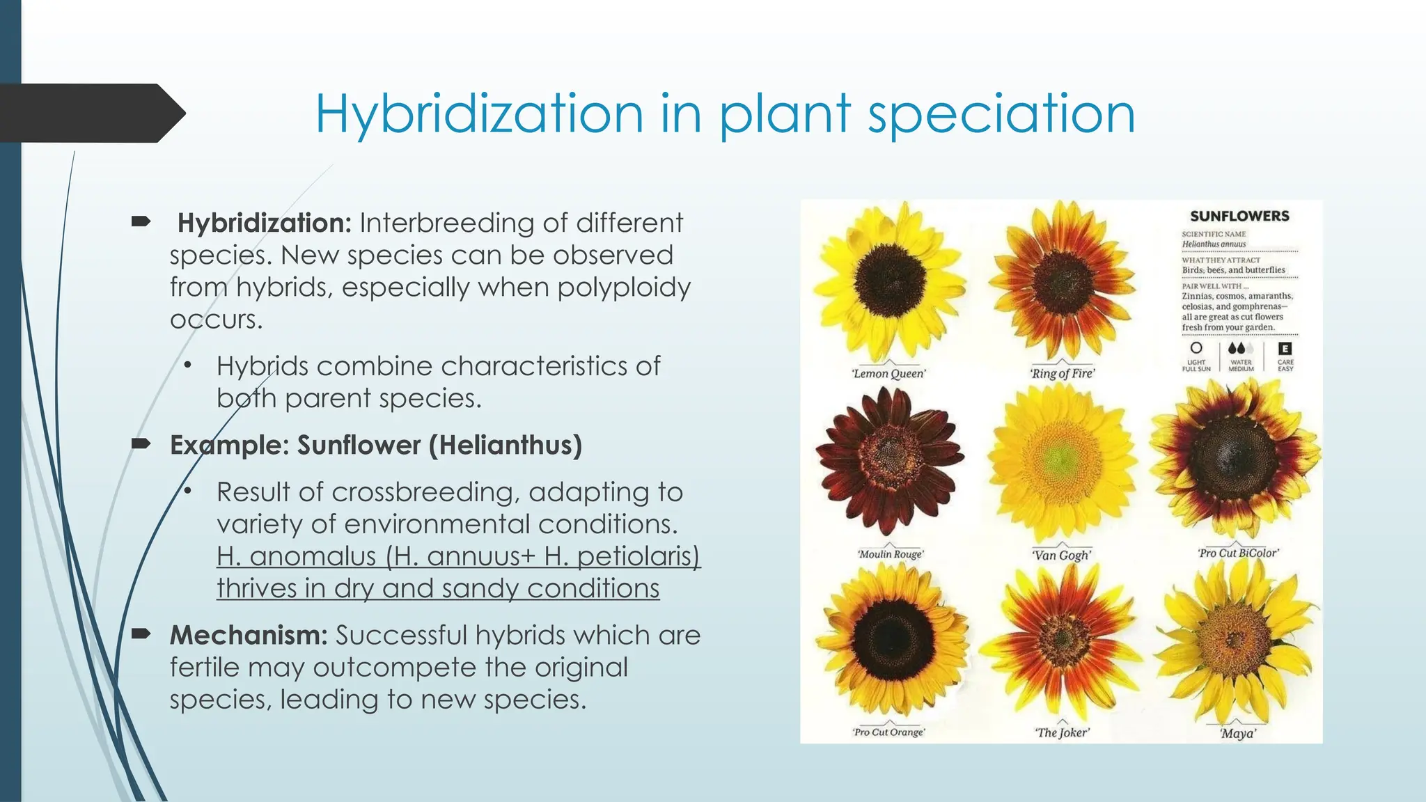 Can Plants Interbreed And Form Hybrids Understanding Plant Interspecies Crossbreeding The Hidden Hybridization Of Our Favorite Plants Do Different Plant Species Really Crossbreed