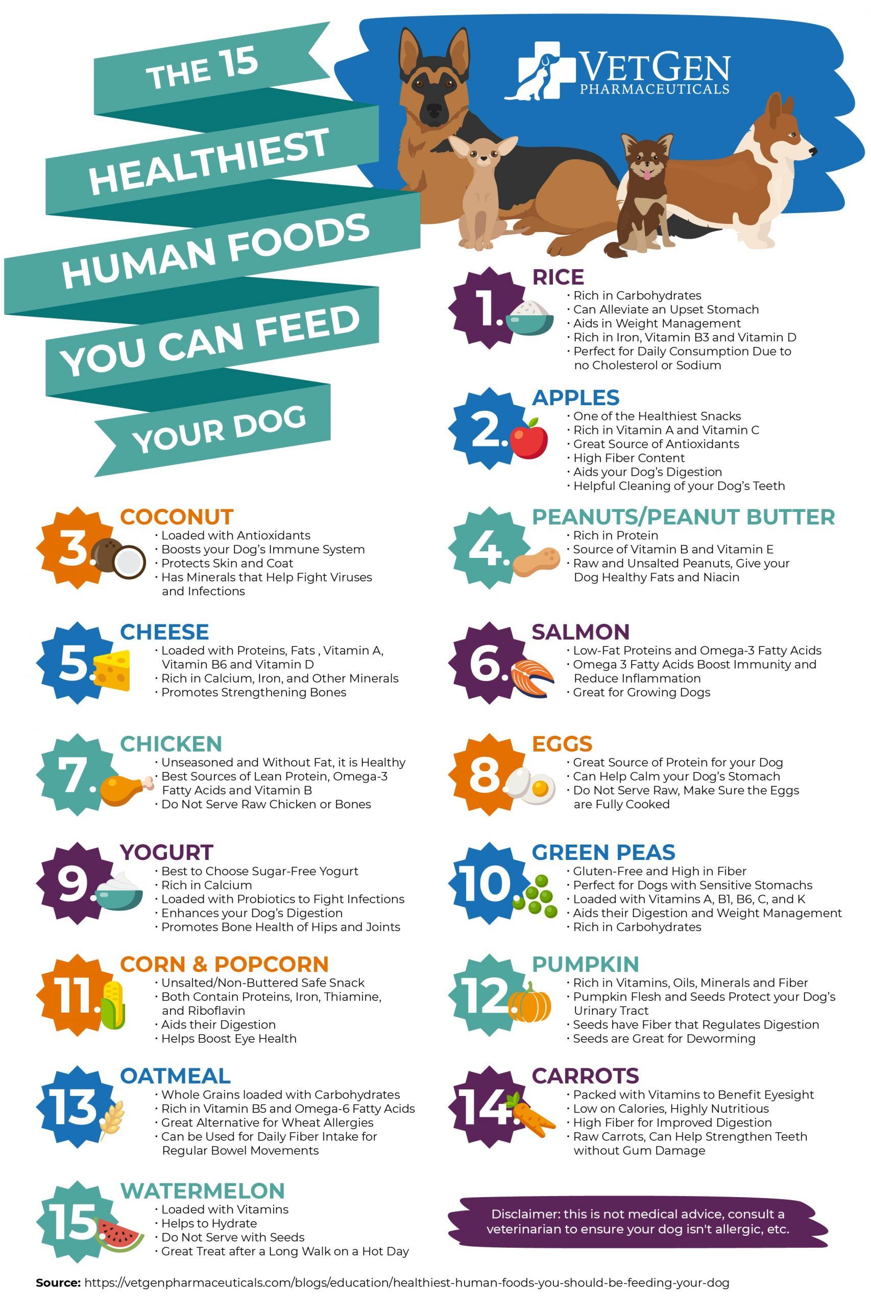 Can You Use Procreate On Windows