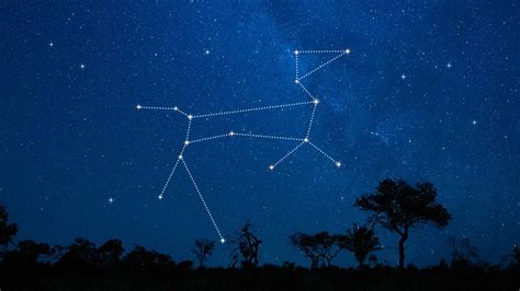 Discover the Mysteries of the Canis Major Constellation