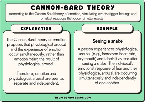Cannon Bard Theory Explained: Discover This Influential Psychological Concept