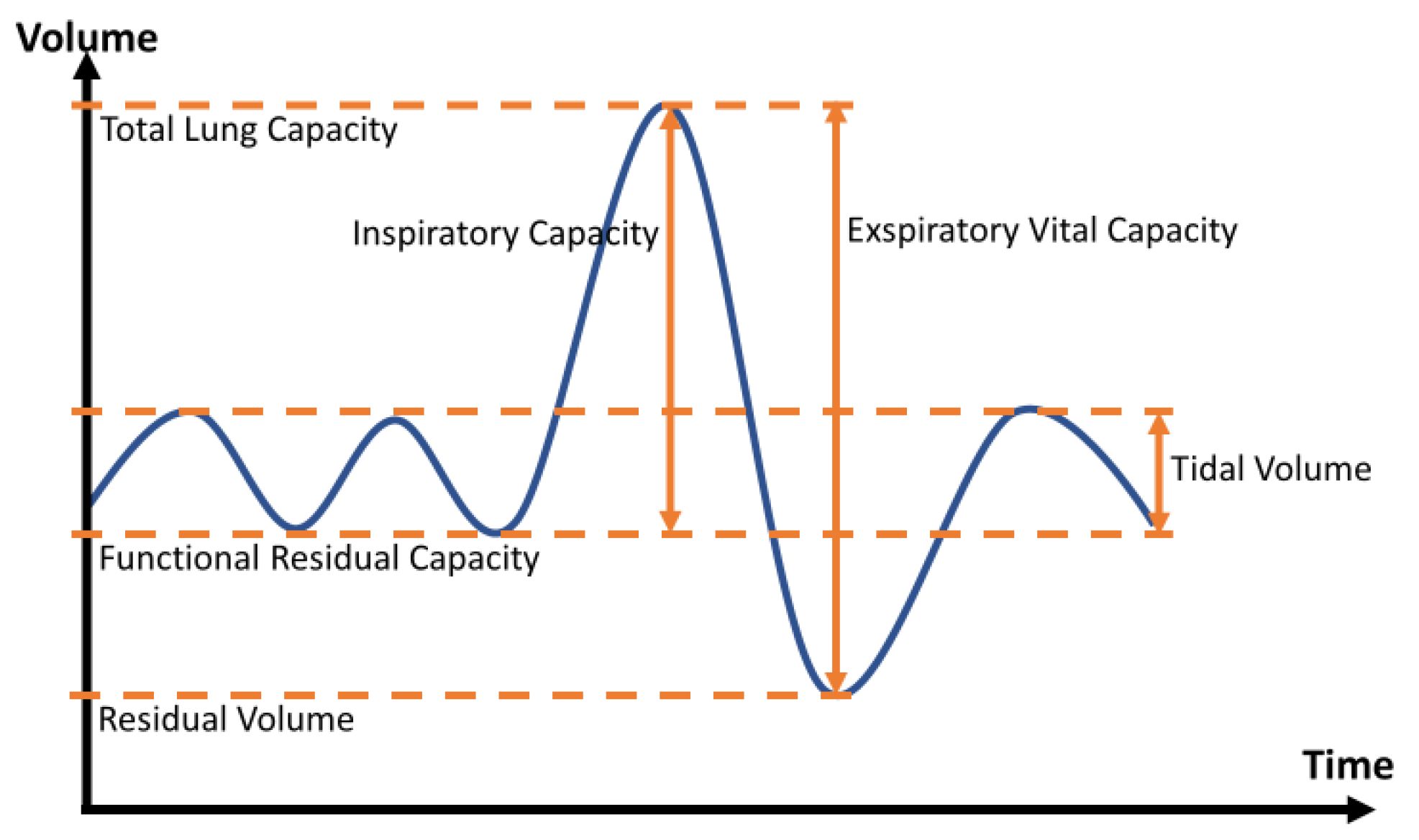 Capnography Waveforms