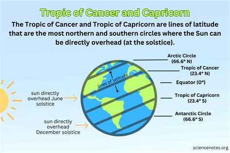 Capricorn and Cancer Tropics Compatibility: Surprising Insights Revealed