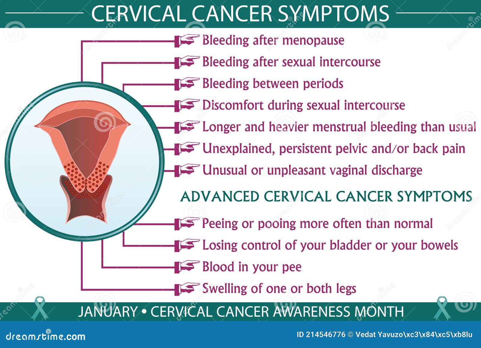 Cervical Mucus Before Period
