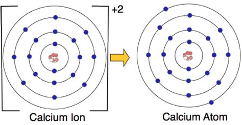 The Charge of a Calcium Ion Explained: Unravel Its Crucial Role in Health