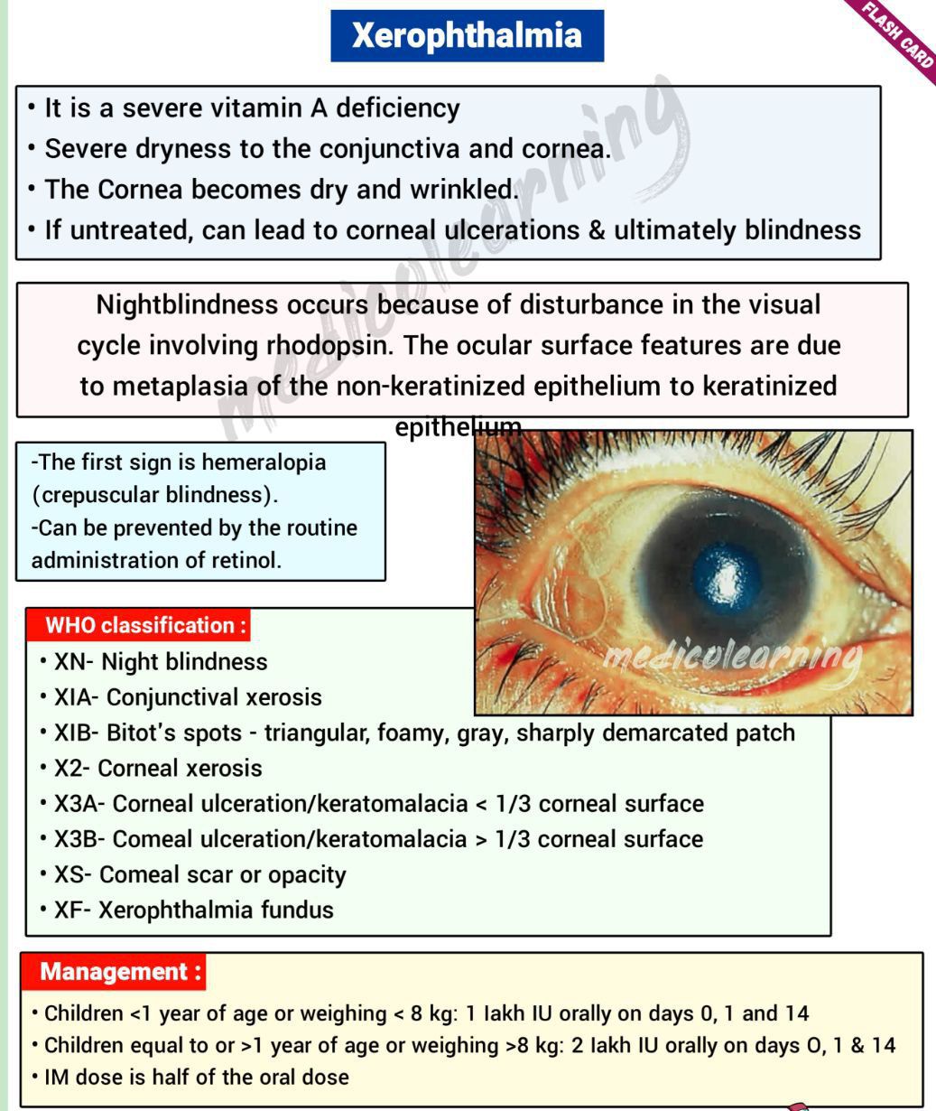 Cholangitis Vs Cholecystitis