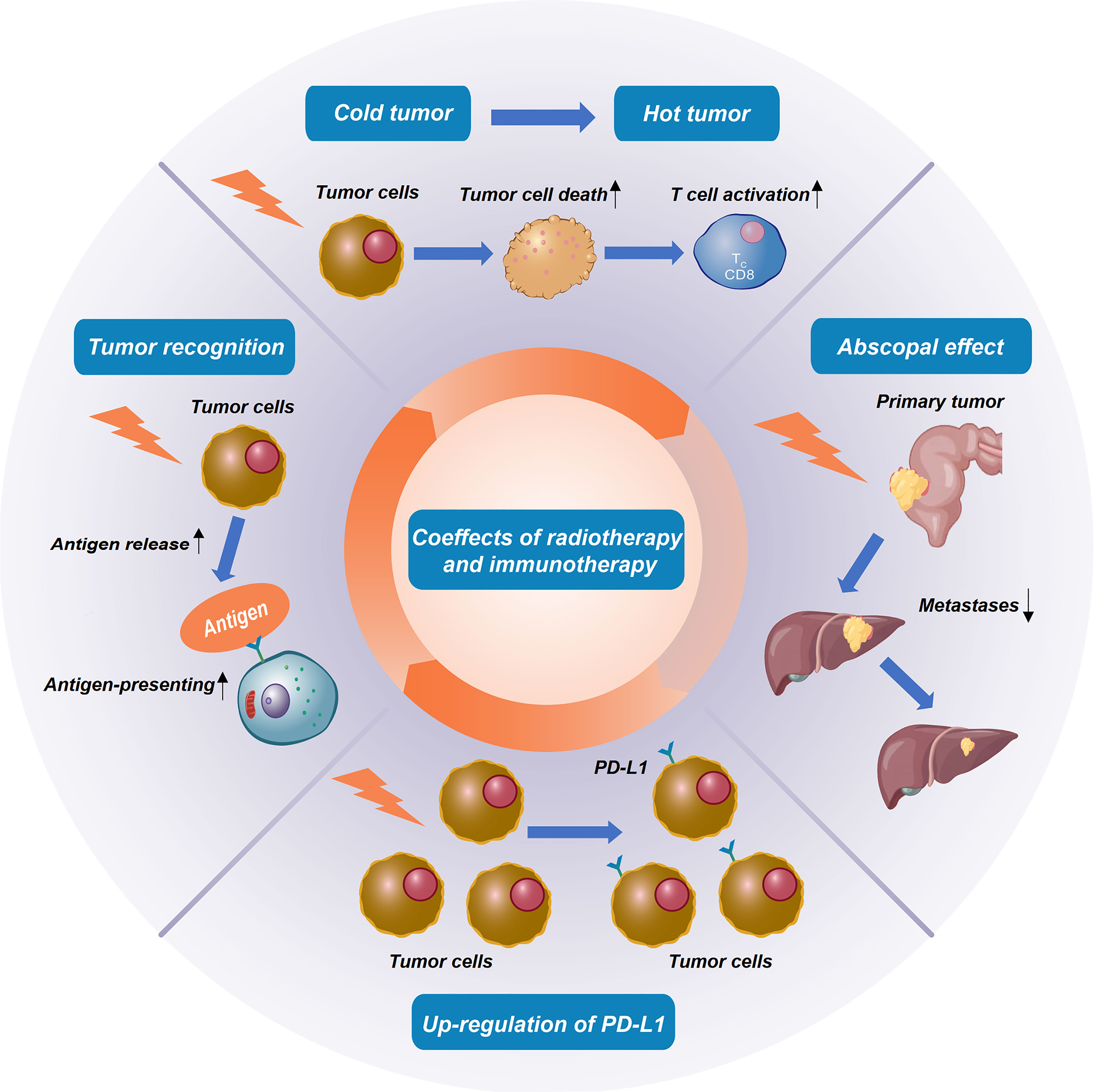 Cll Disease Prognosis