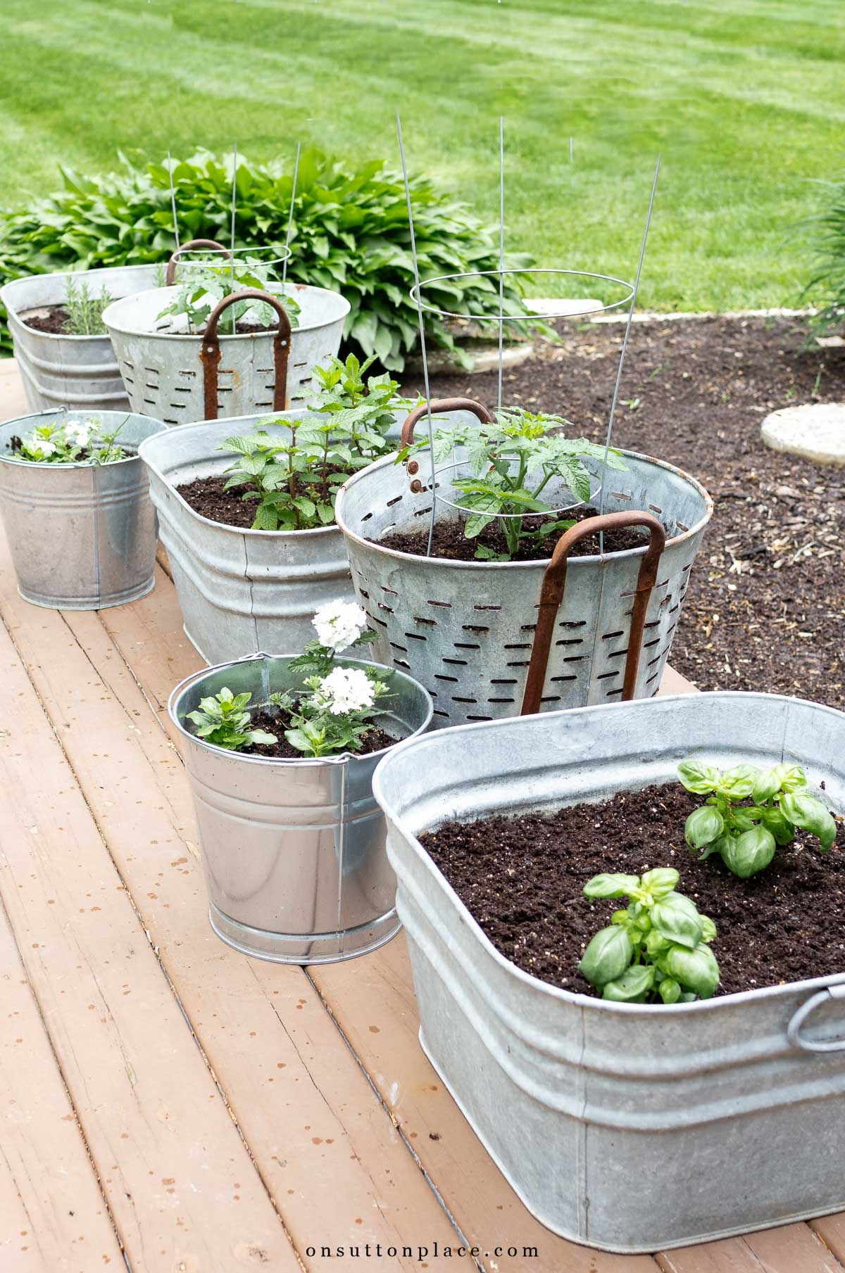 Build A Bountiful Container Herb Garden For A Micro Farm On Your Patio