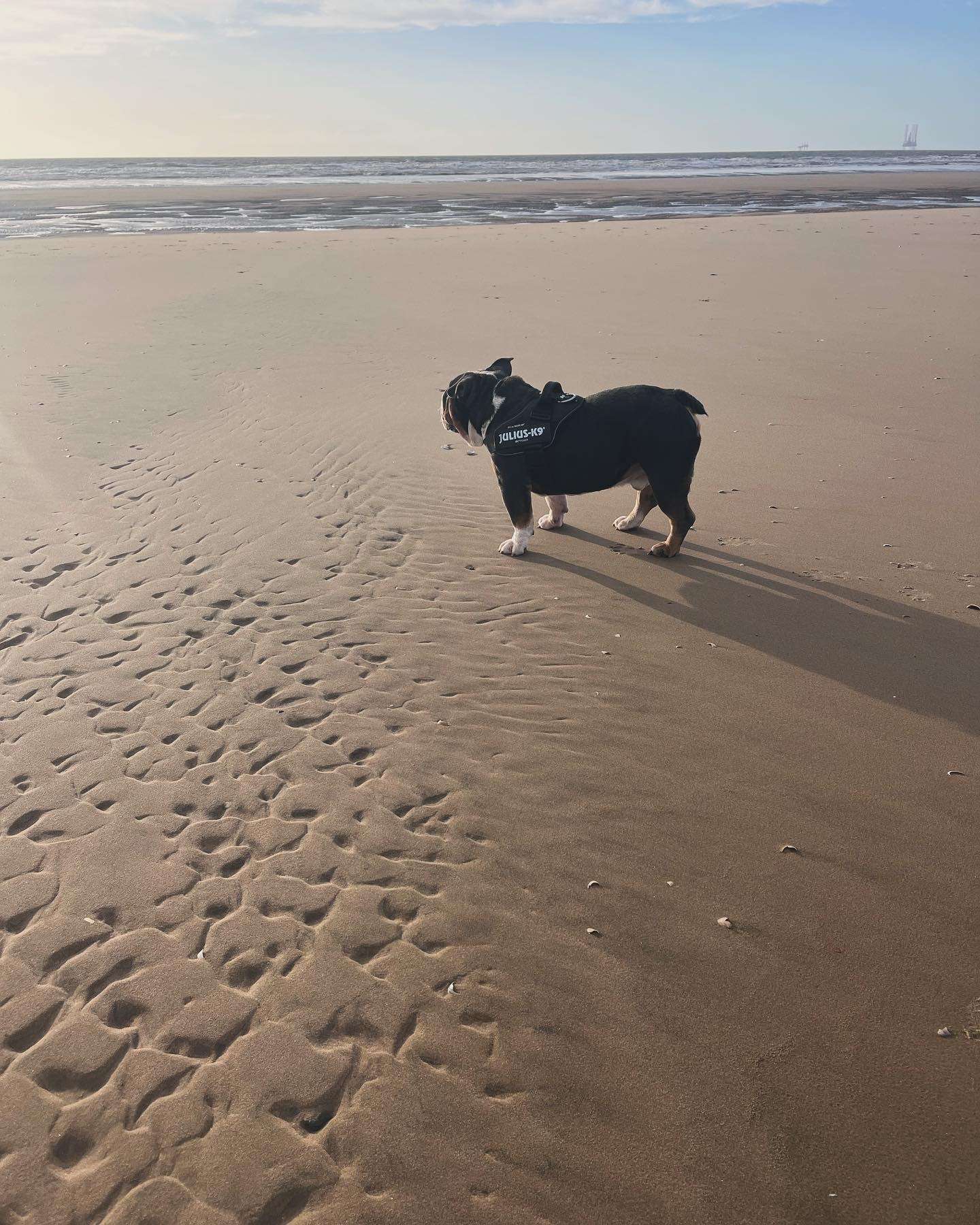 Cpc Behavioral Health