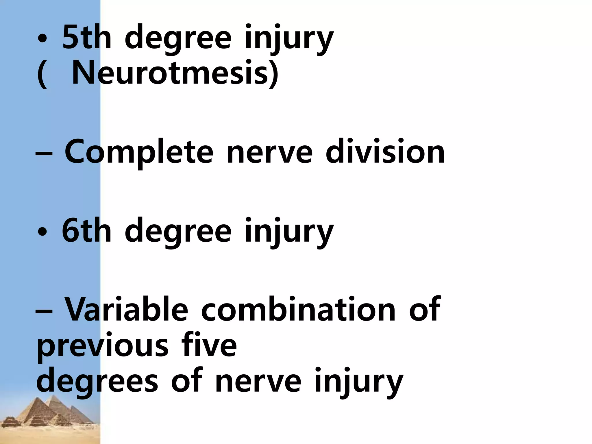 Dermatomes C Spine