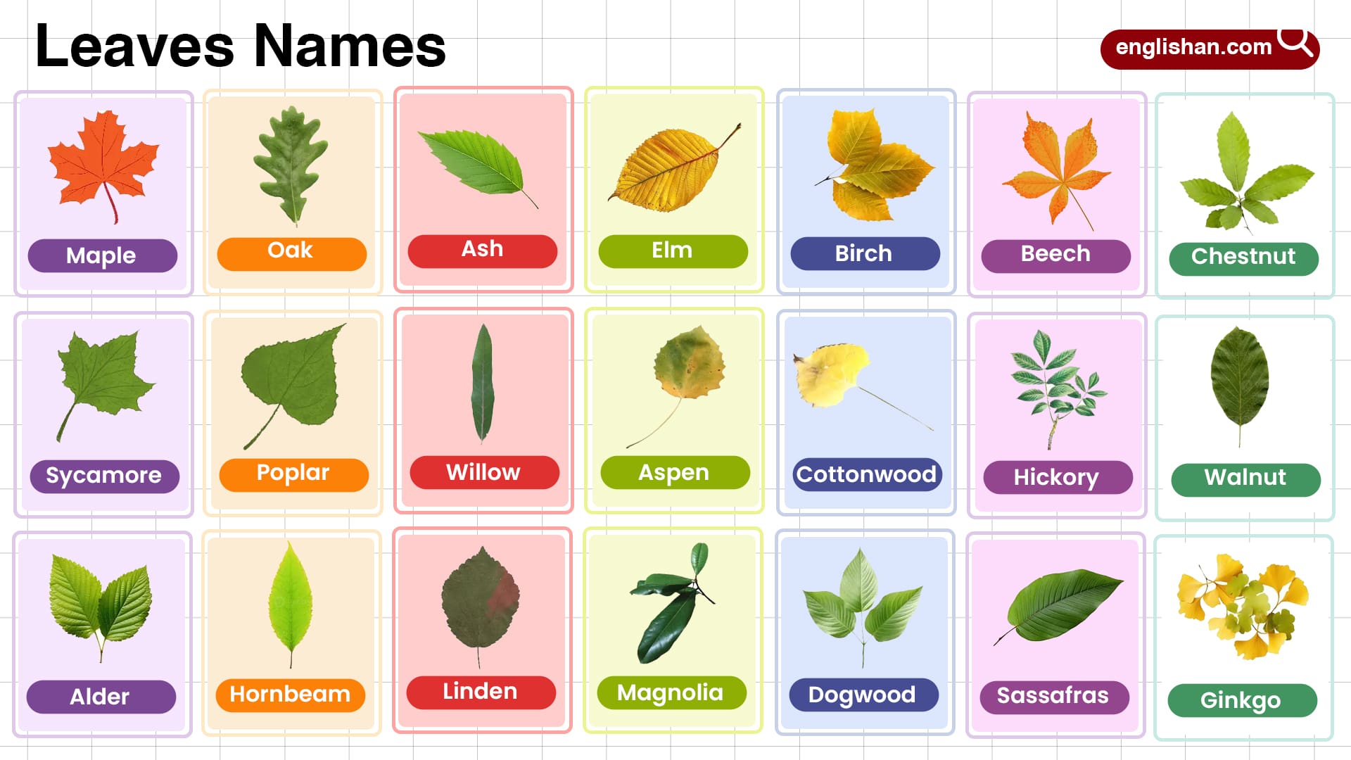 Different Symbols For J