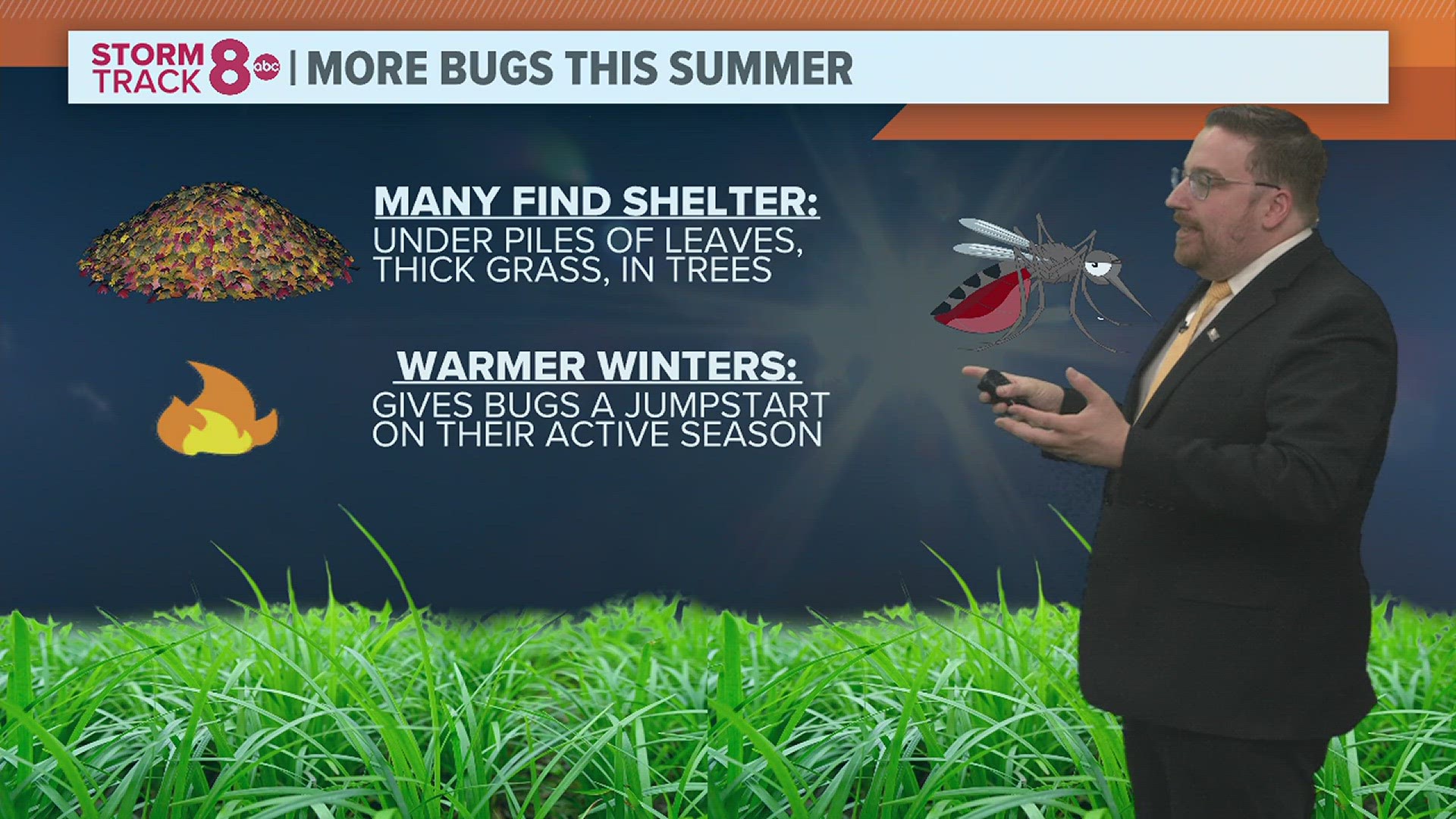 Do Insects Die In Winter Or Hibernate Try Surviving Cold
