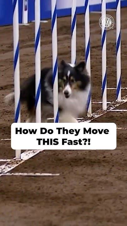 Do They Move Fast