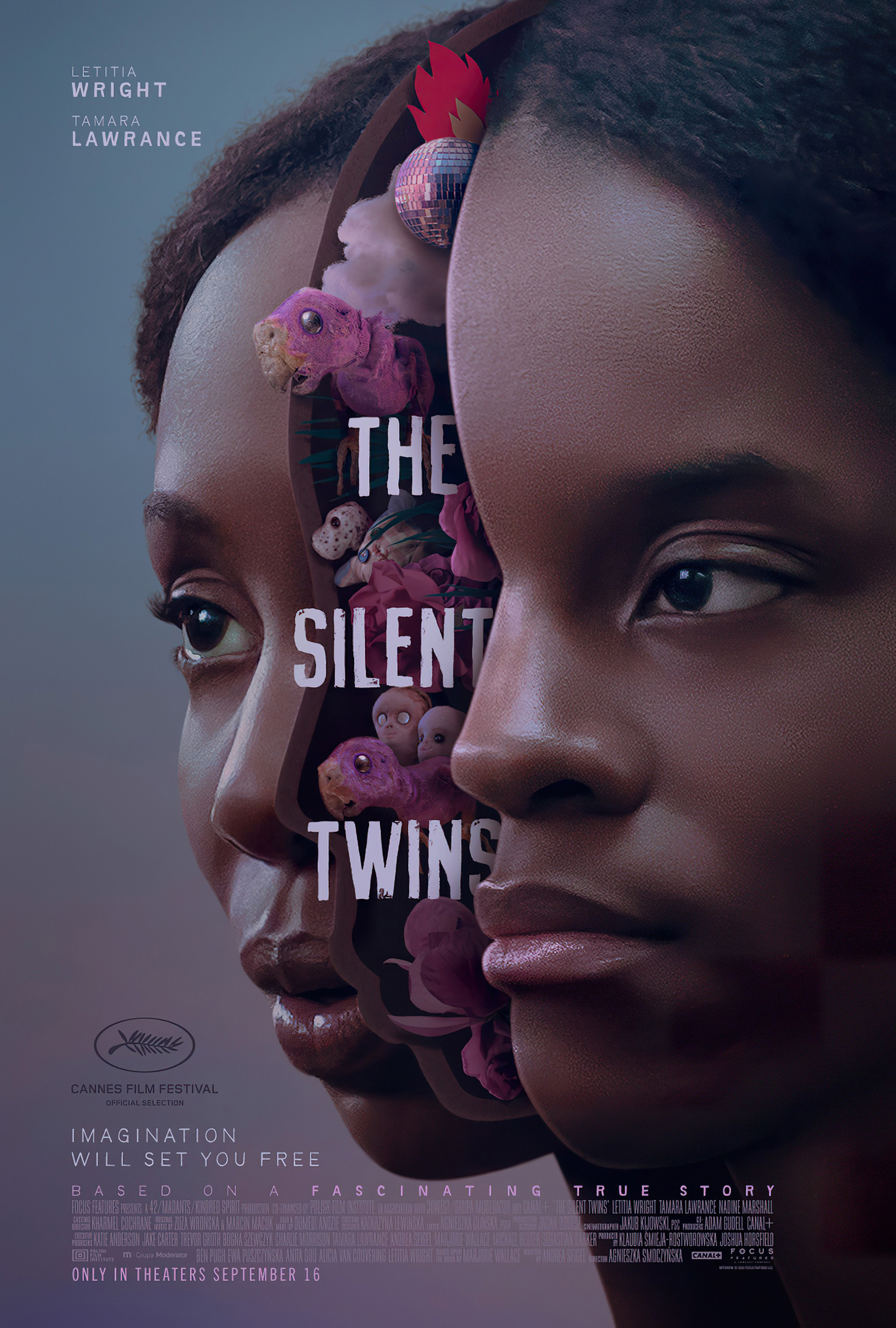1 Documentary About Twins Separated At Birth: The Unbelievable Stories