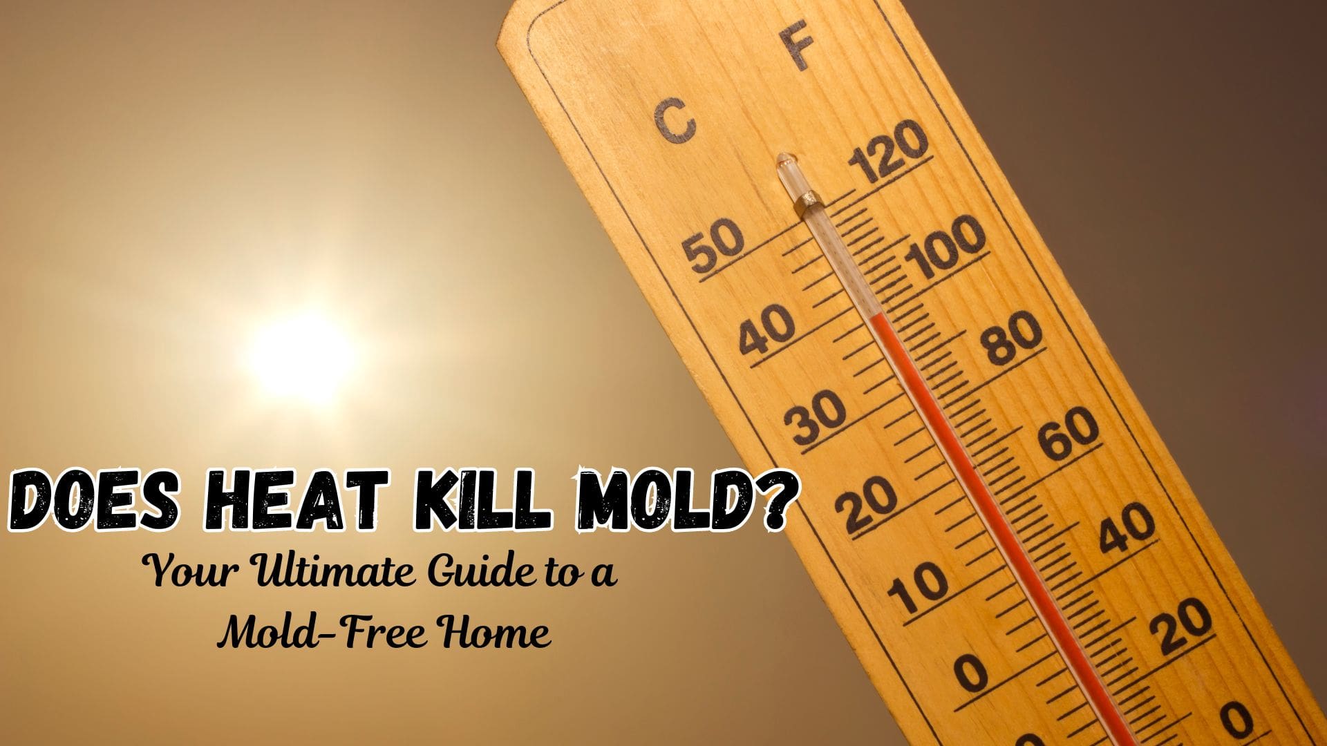 Does Freezing Kill Mold On Books Or Just Slow It Down