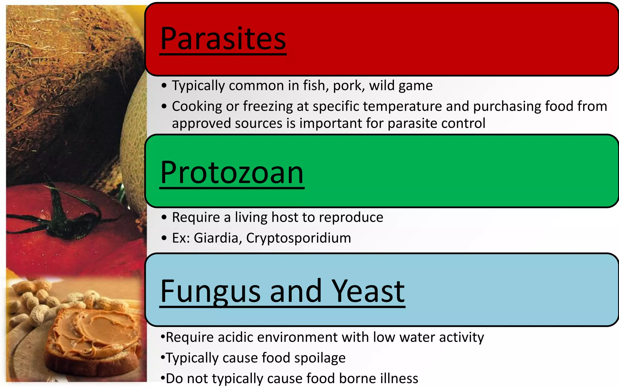 Does Freezing Kill Parasites In Meat Before Cooking