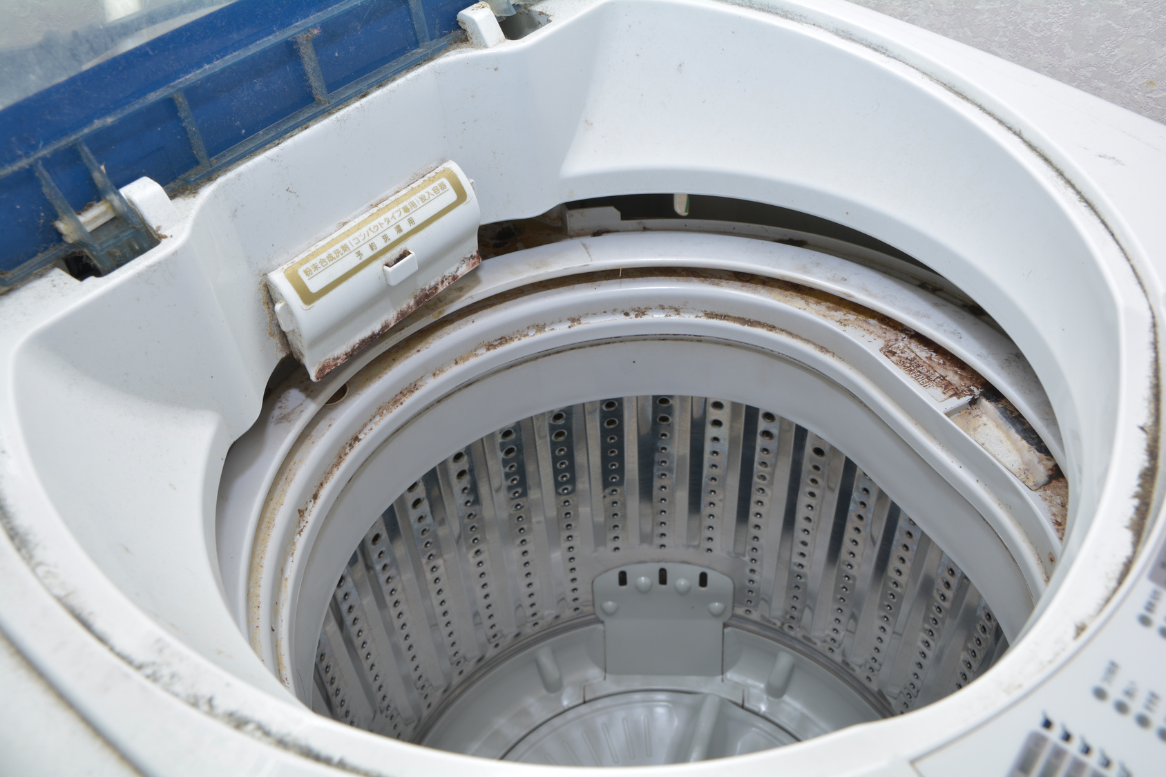 Does Washing Machine Remove Mold From Clothes Effectively