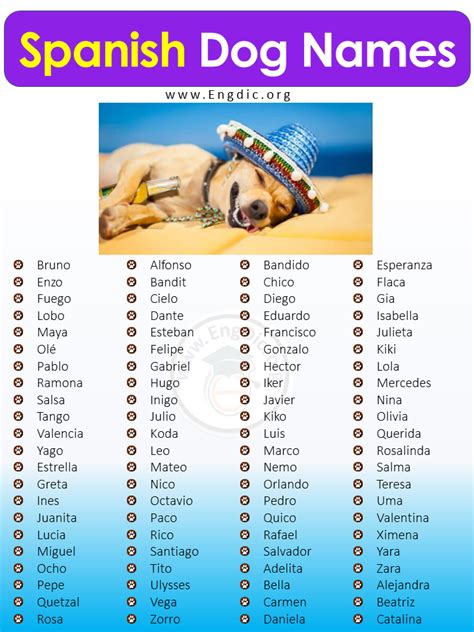 Unlocking 'dogs in Spanish' Secrets